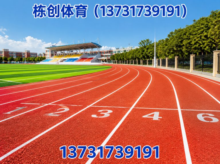 肃宁县栋创体育展示图